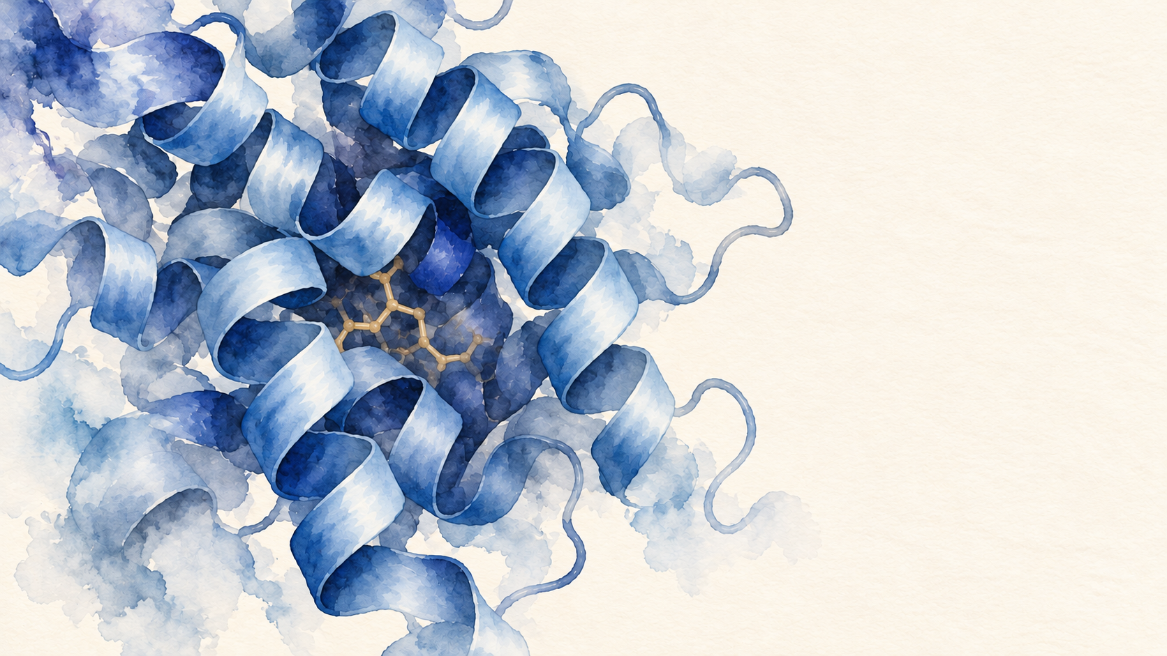 Watercolor of overlapping blue protein helices surrounding a small ochre ligand; conceptual artwork, not an exact molecular structure